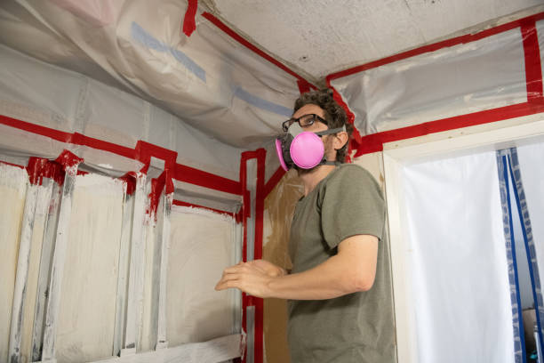 Reliable Bonners Ferry, ID Mold Inspection, Removal & Remediation Solutions